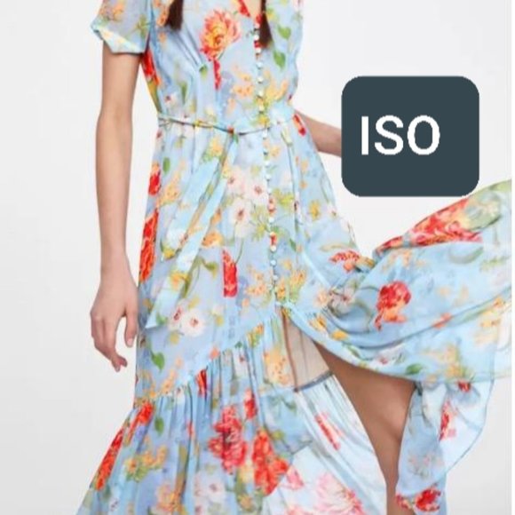 ISO / In search of zara sky blue floral button dress - Picture 1 of 1